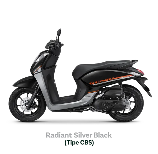 Radiant Silver Black