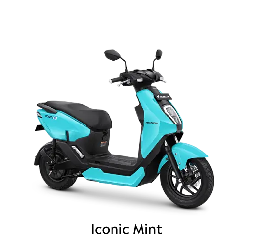 Iconic Mint